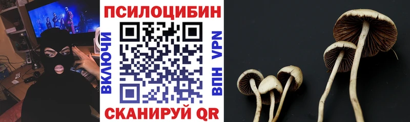 Галлюциногенные грибы прущие грибы Купить закладки Вышний Волочёк